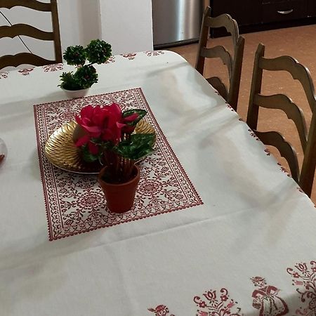 City Center Apartment Shkodër Extérieur photo