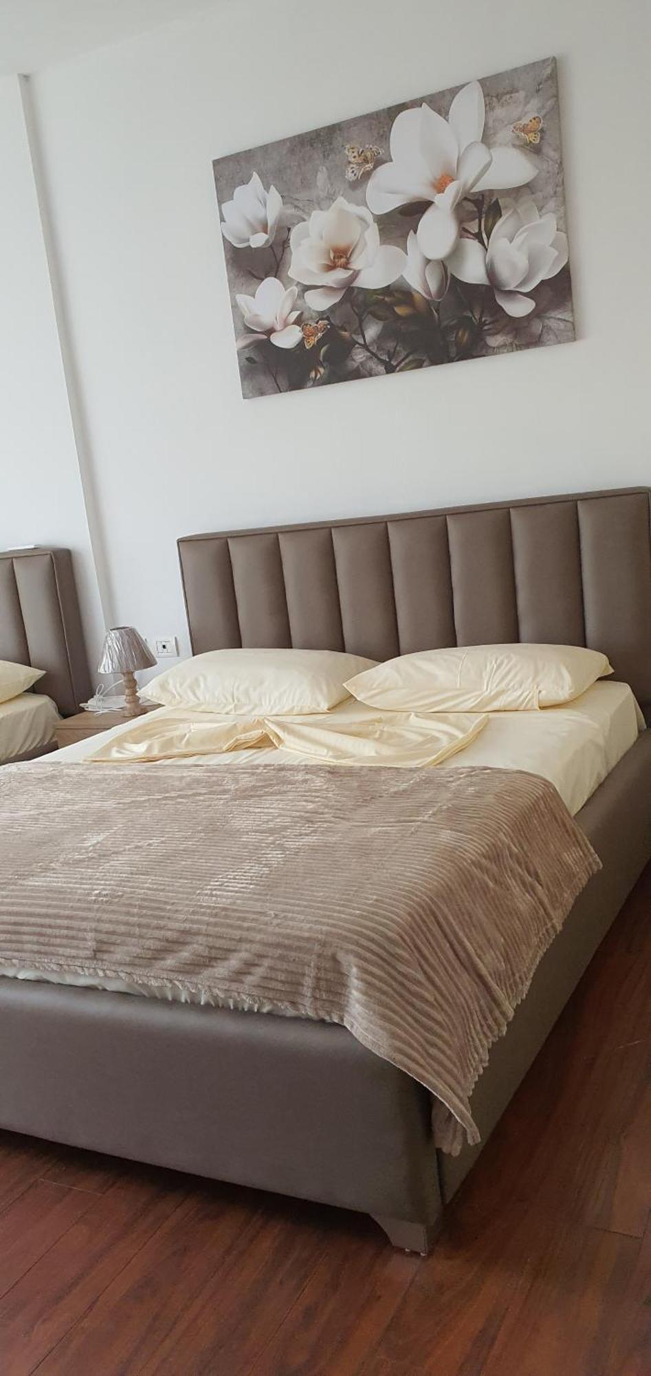 City Center Apartment Shkodër Extérieur photo